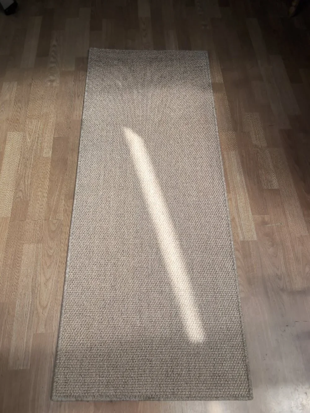 Pottery Barn Serged Sisal Fiber Rug